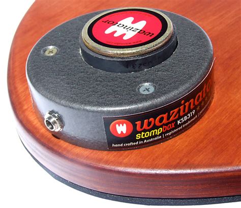 acoustic electric stomp box|wazinator stompbox.